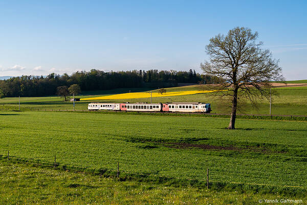 BBC TPF-TRN RBDe 567