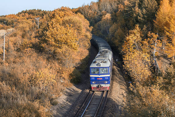 CRRC Qishuyan DF8