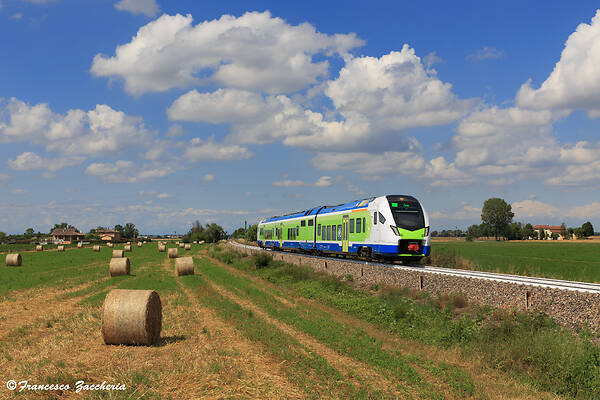 Stadler ATR 803