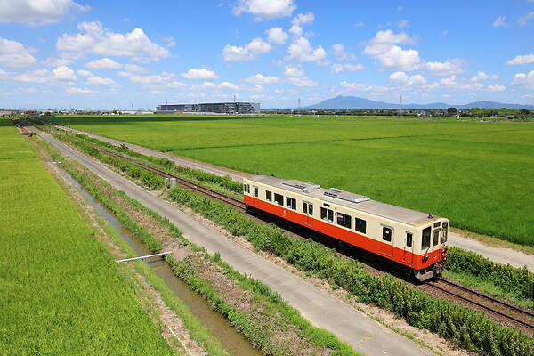 Niigata Transys Kiha 2400