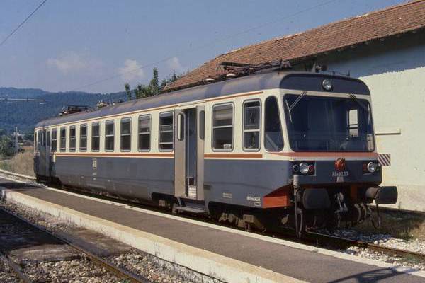 TIBB FG Ale 80