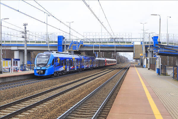 Newag 31WEba