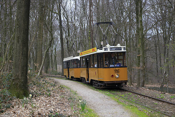 Beijnes Rotterdamse vierasser