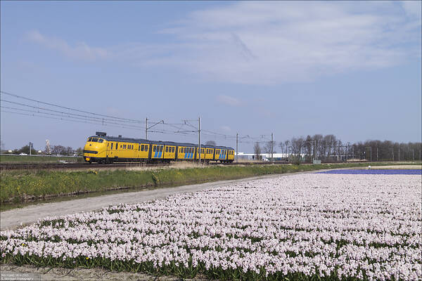 Werkspoor Plan U