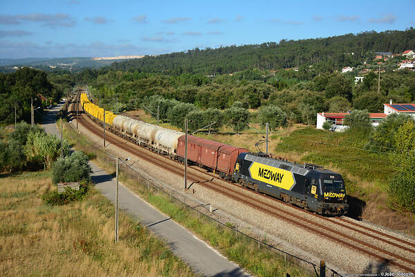 Siemens ES64P (CP)