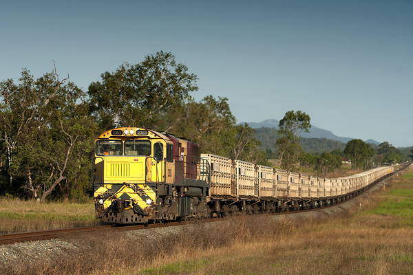 Redbank Workshops GTL22CU