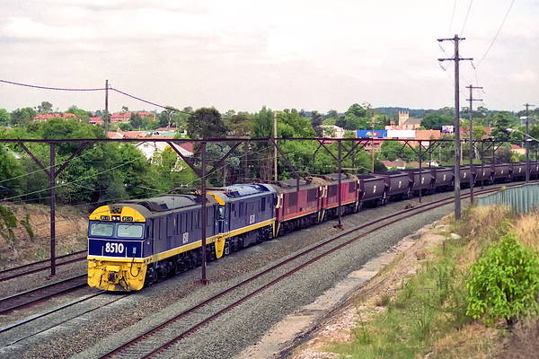 Comeng NSW 85