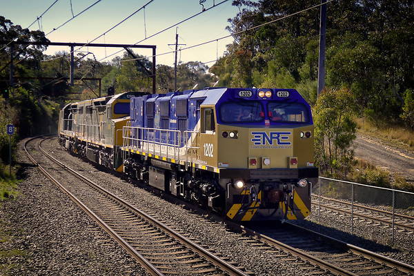 NREC 3GS24C-DE-AU