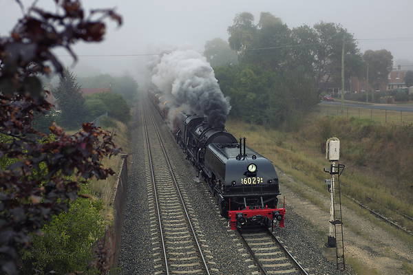 Beyer & Peacock NSW AD60