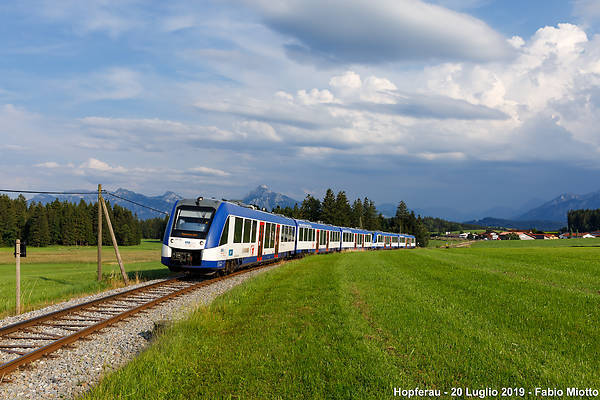 Alstom LINT 81