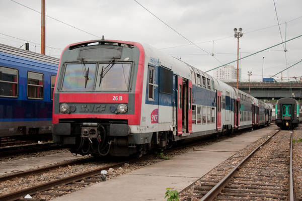 ANF Z 8800