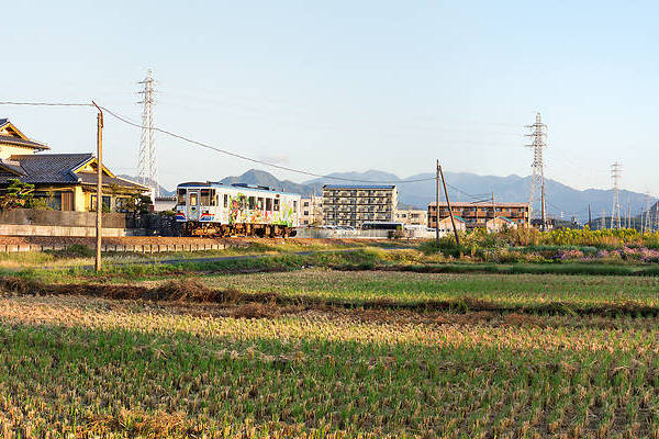 Niigata Transys Nagaragawa 500