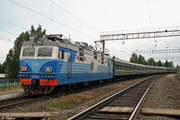 NEVZ VL65