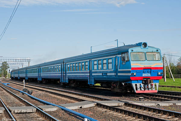 RVR DRB1M