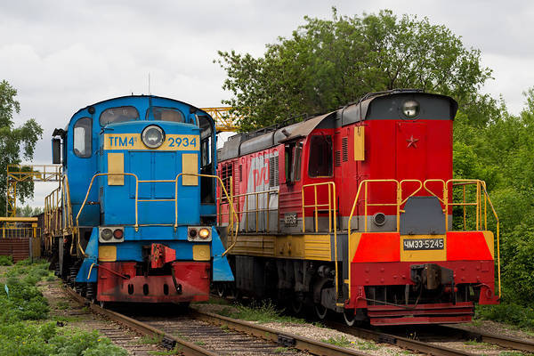 LTZ TGM4L
