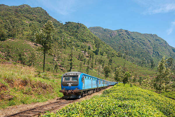 CRRC Qingdao Sifang CGR S12