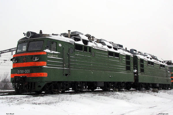 NEVZ VL81