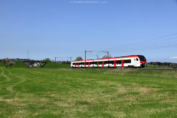 Stadler RABe 531 4-parts