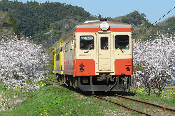Tokyu Car KiHa 20