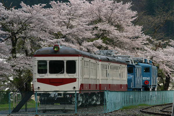 Nippon Sharyo Chichibu 100