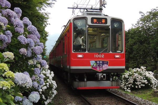 Tokyu Car Hakone Tozan 1000