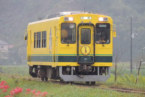Niigata Isumi 300