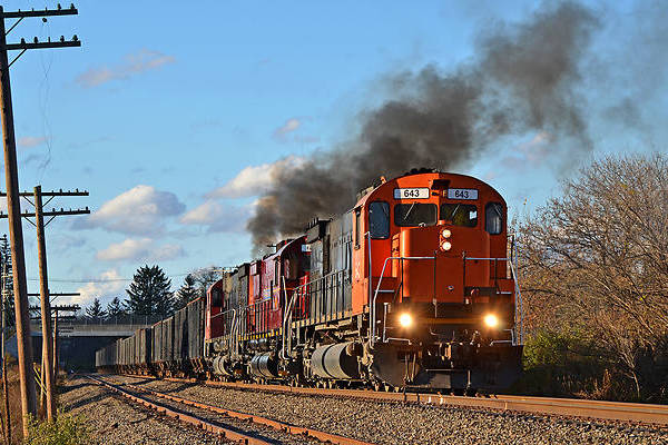 MLW M636