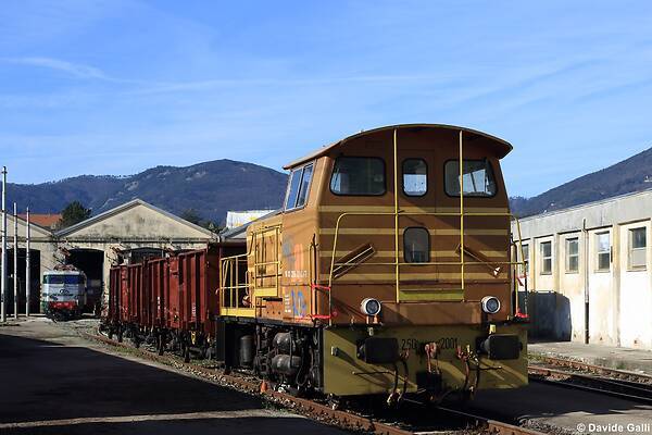 Reggiane D250