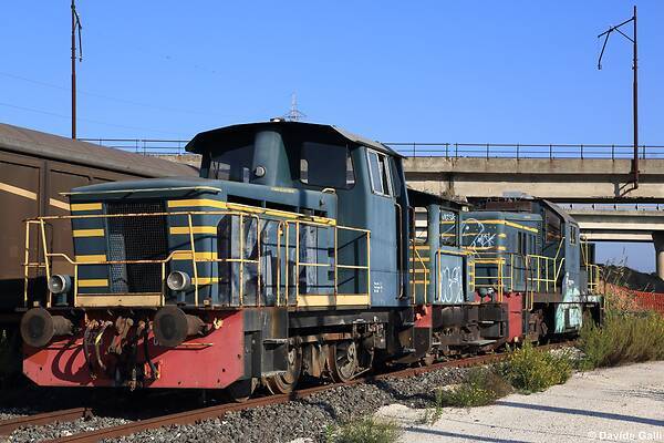 OM FS 235