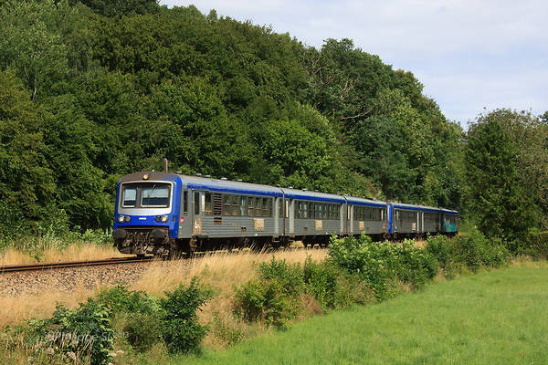 ANF X 4900