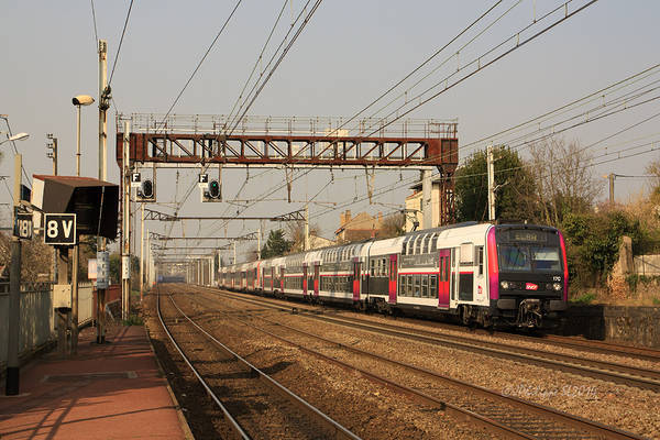 CIMT Z 5600