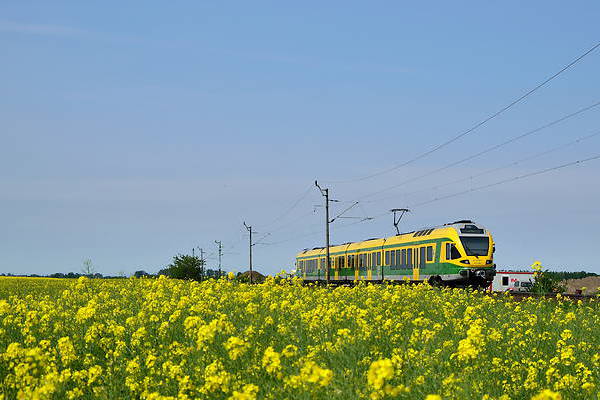 Stadler Flirt 4/10 25kV