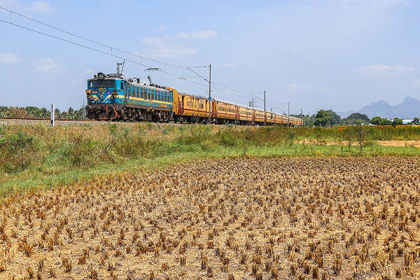 CLW WAG-7