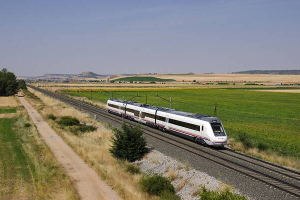 CAF 599