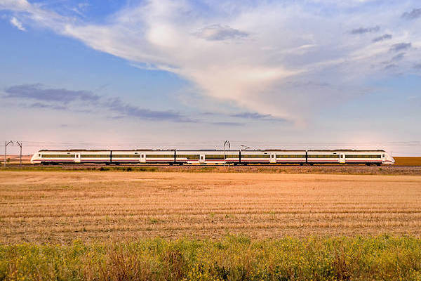 CAF 449