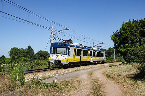 CAF FEVE 3300