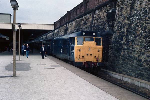 Brush Traction 31/4
