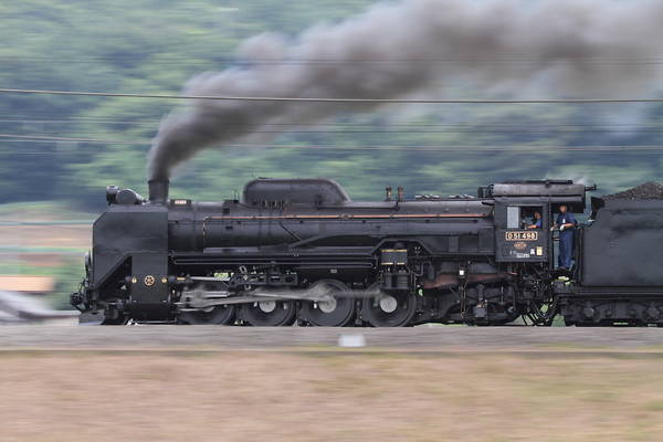 Hitachi D51