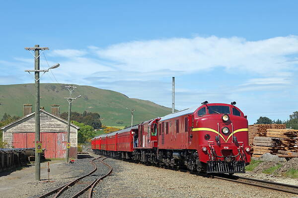 English Electric NZR DG