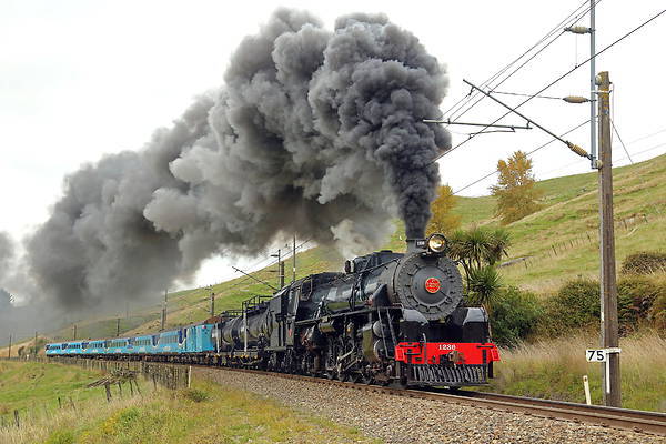 NBL NZR J class