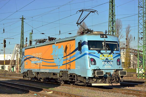 Softronic Trans Montana