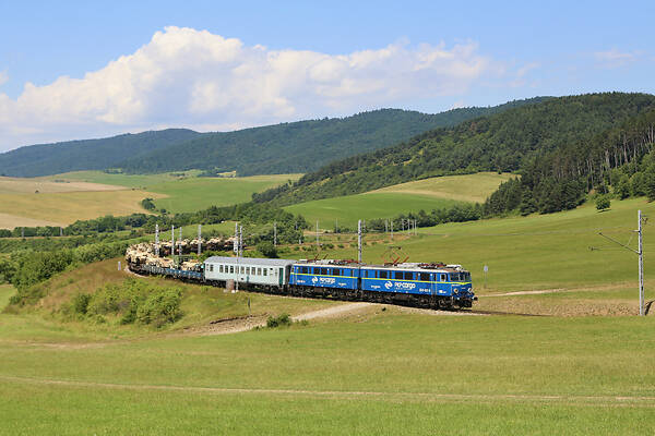 Cegielski 203E
