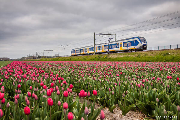 Bombardier SLT-4