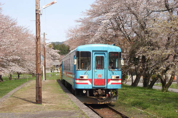 Niigata Transys Haimo 295