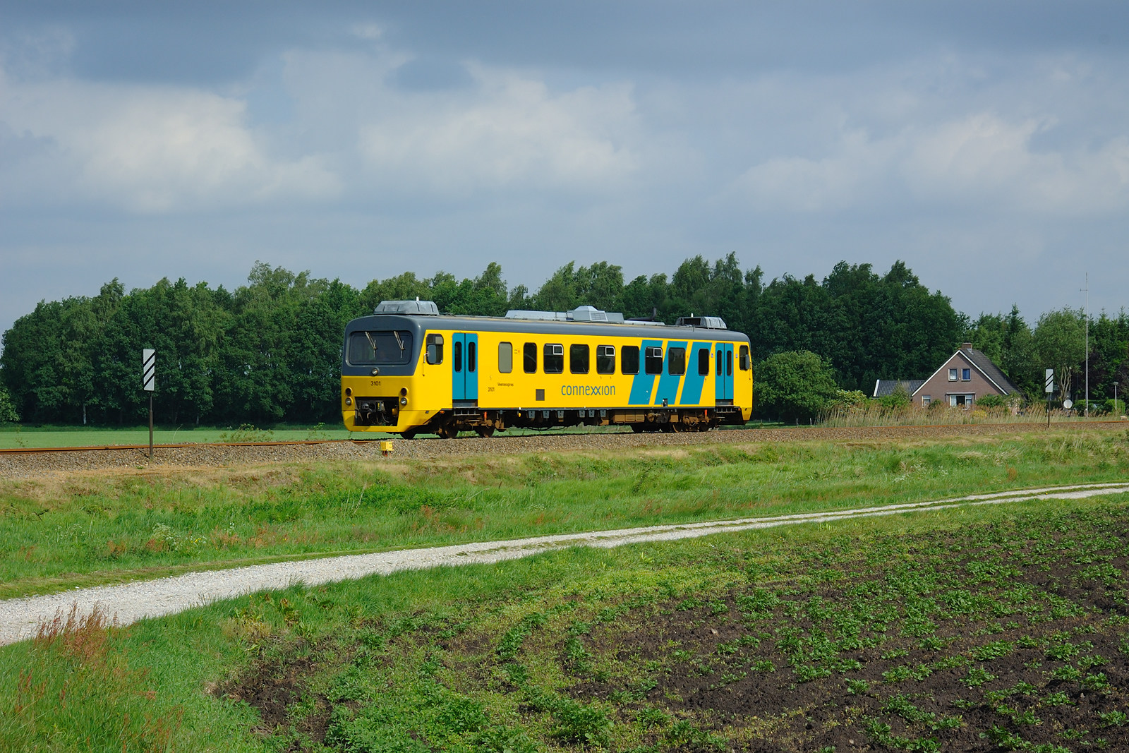 SIG DH1 – photo 5