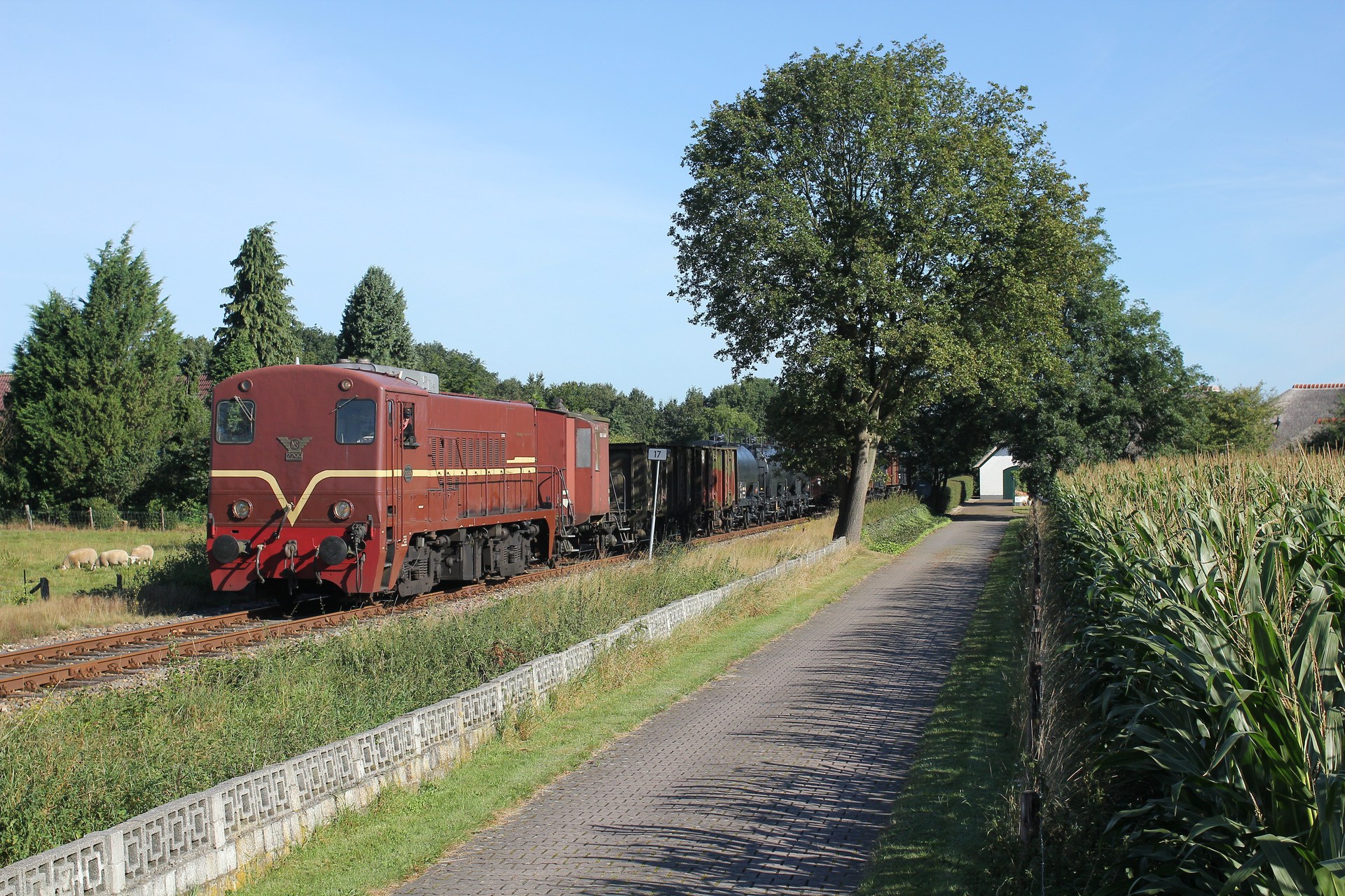 Allan NS 2200 – photo 16