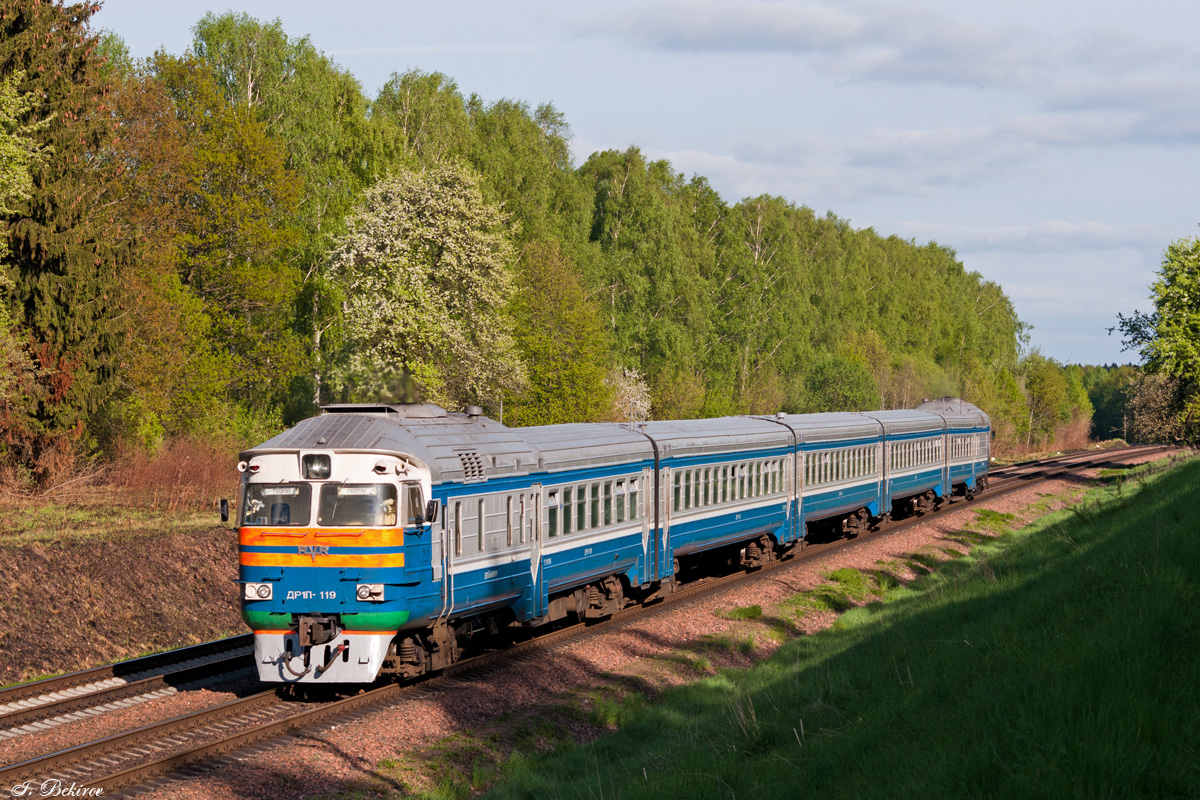 RVR DR1P / 63-319 – photo 4