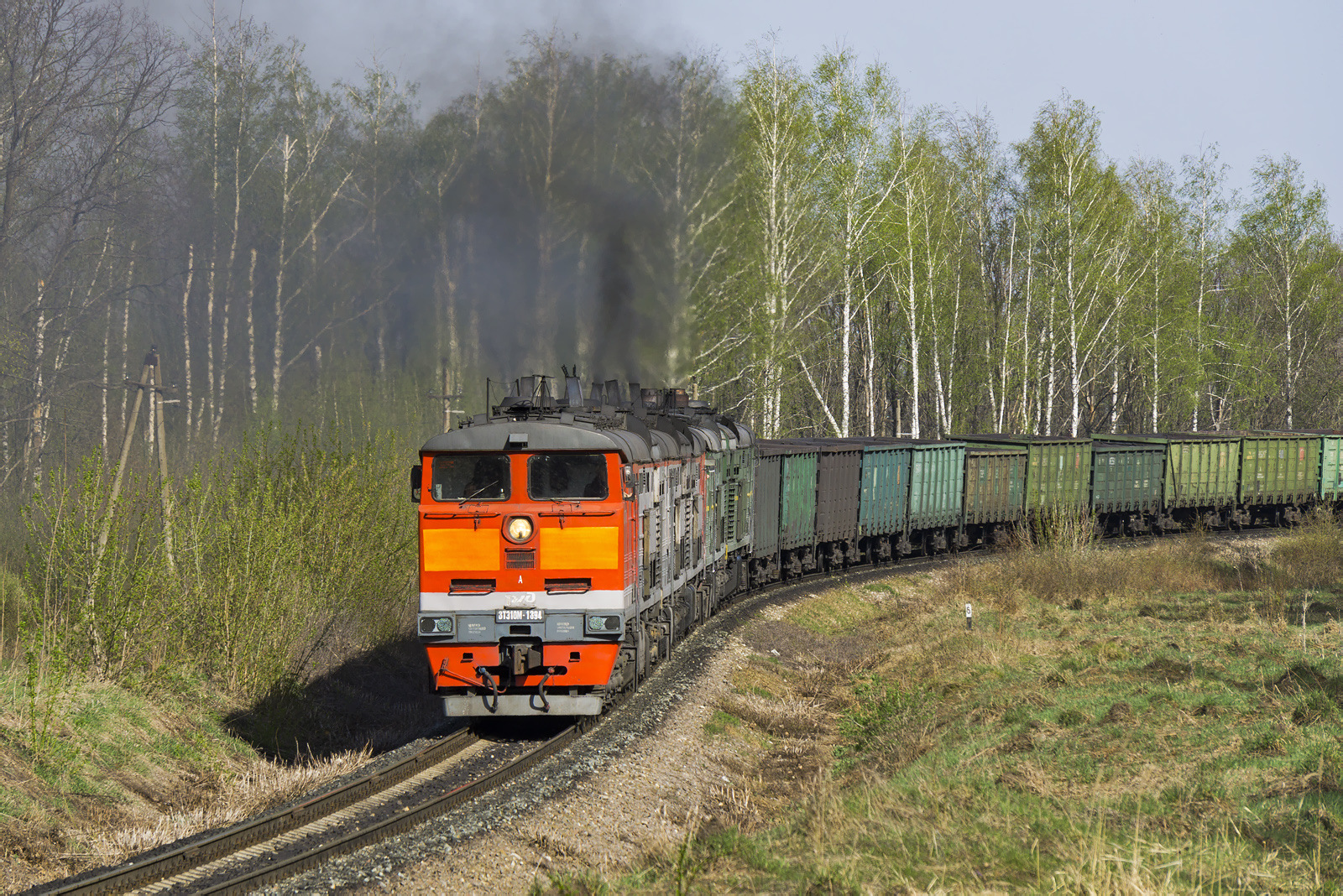 Luhanskteplovoz 3TE10M – Foto 11