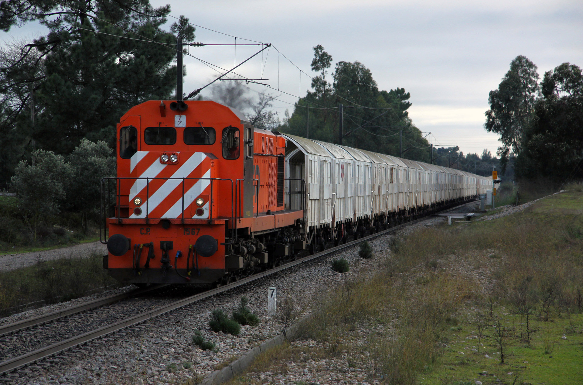 MLW 1550 – photo 2