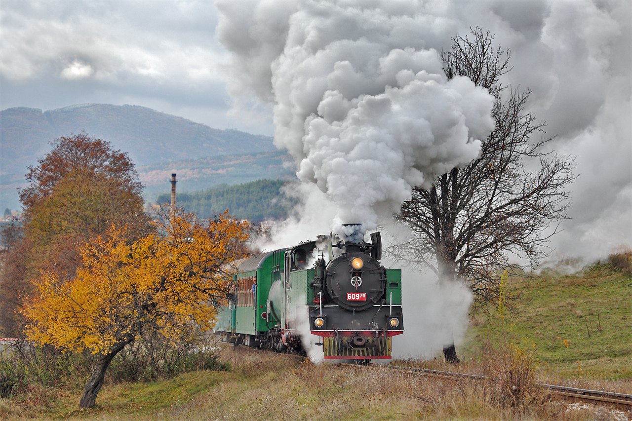 Fablok BDZh 600.76 – photo 12